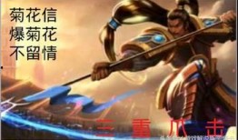 赵信女友爆料视频,揭秘明星背后的情感纠葛